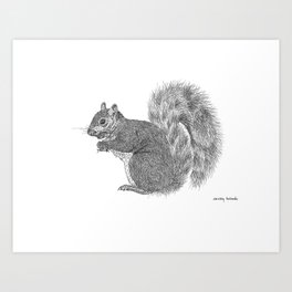 Gray Squirrel Art Print