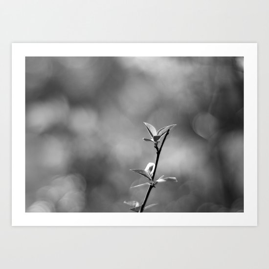 Spring Begins in Black and White Art Print