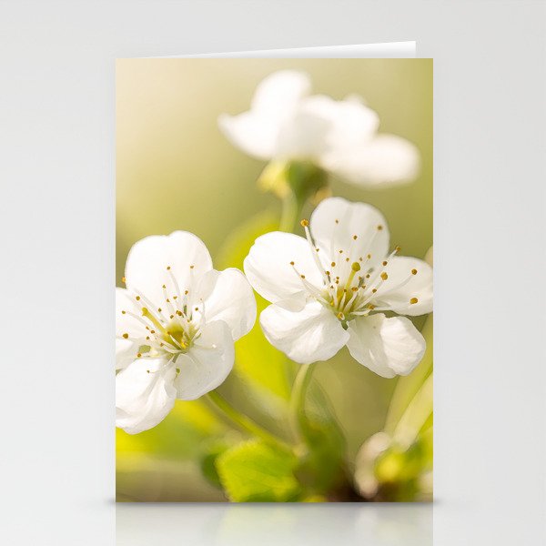 Beautiful cherry blossom on a vivid green background - summer atmosphere #decor #society6 #buyart Stationery Cards