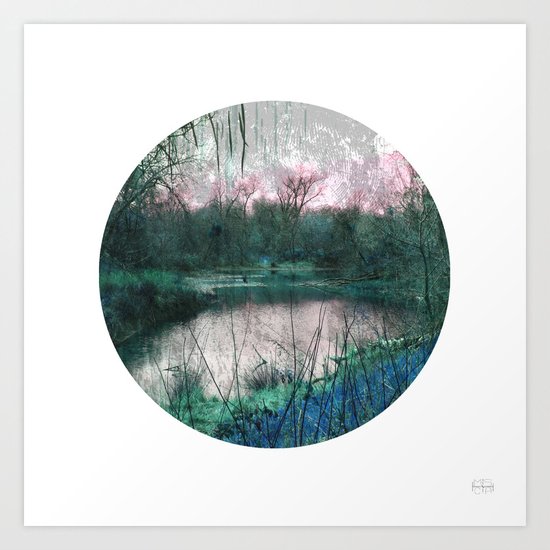 Swamp Art Print