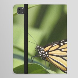 Mexico Photography - Beautiful Butterfly On A Plant iPad Folio Case