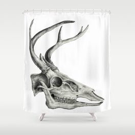 Deer Skull (No Background) Shower Curtain