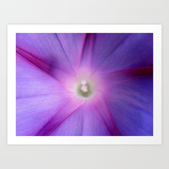 Star Violet Art Print