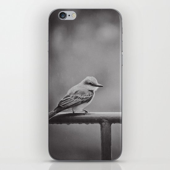 Endure iPhone Skin