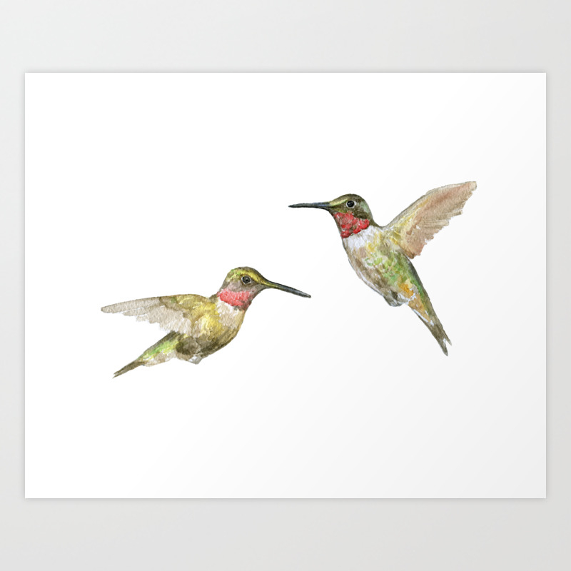 Download Hummingbird Watercolor Art Print Painting Art Collectibles Kromasol Com