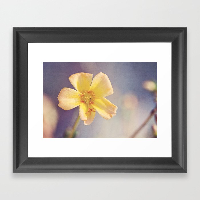 A Little Yellow Flower Framed Art Print