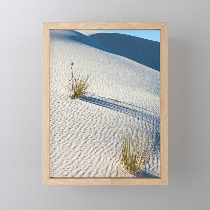 Sand Yucca Framed Mini Art Print