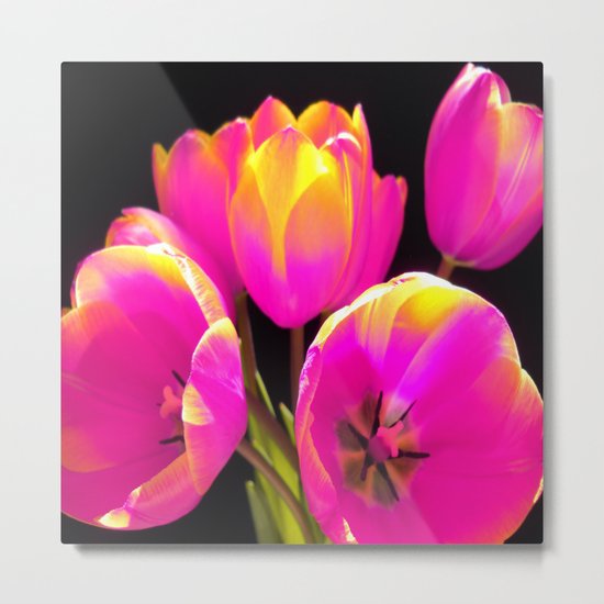 Colours Tulips Metal Print