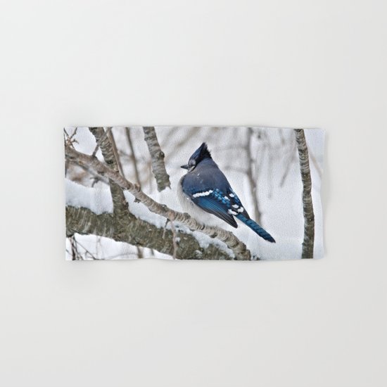 Winter's Cold (American Blue Jay) Hand & Bath Towel