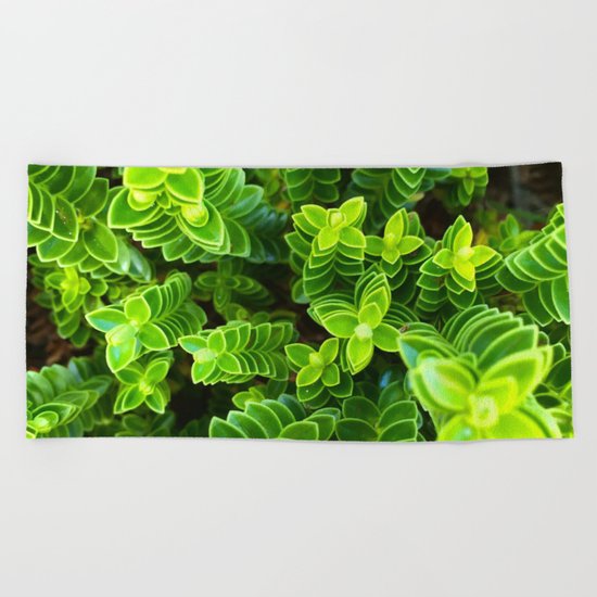 Green plant Beach Towel