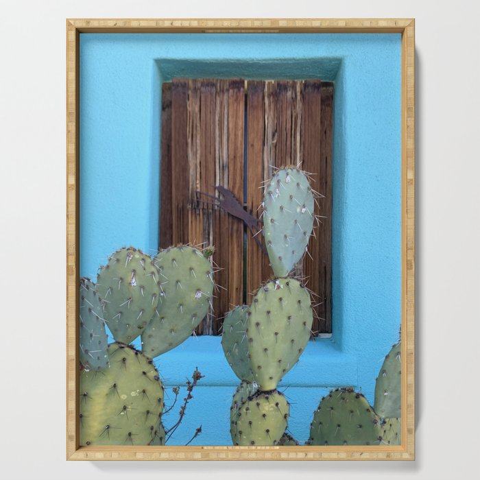 Aqua Wall + Cactus :: Barrio Viejo Tucson Serving Tray