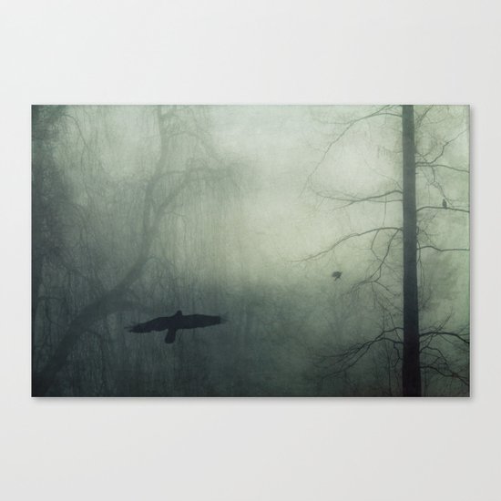 world wrapped in mist Canvas Print
