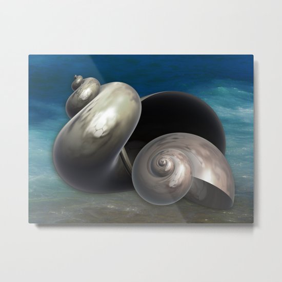 Shell houses Metal Print
