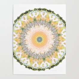 White Lily Mandala - Peach And Green Art Poster
