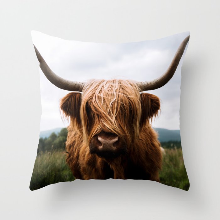 Scottish Highland Cattle - Animal Photography Throw Pillow by Michael ...