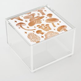 Texas Mushrooms – Copper Metallic Acrylic Box