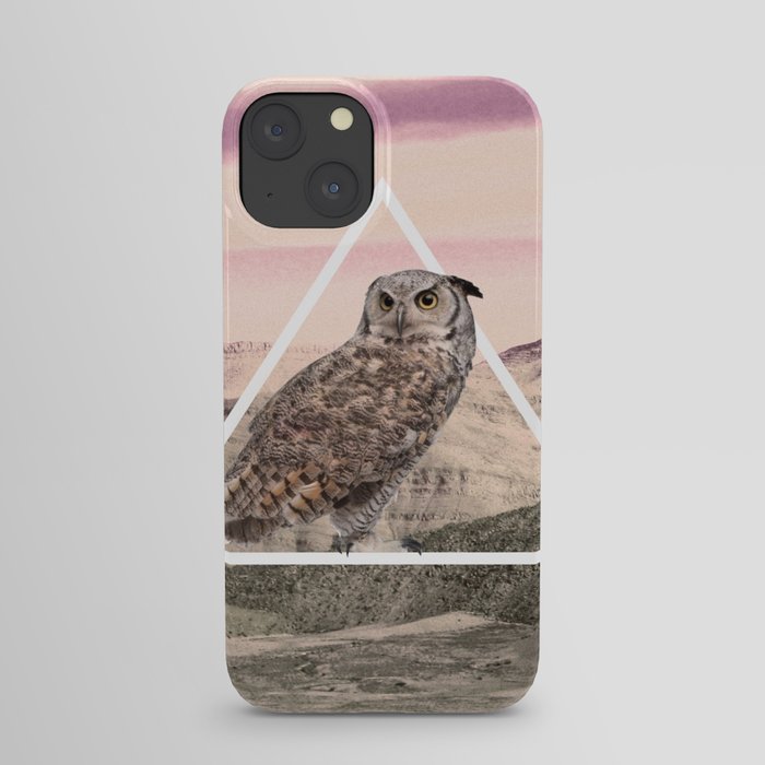 Desert Owl iPhone Case