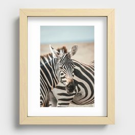 Zebra in Masaai Mara, Kenya, Africa Recessed Framed Print