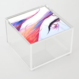 Canvas 001 Acrylic Box