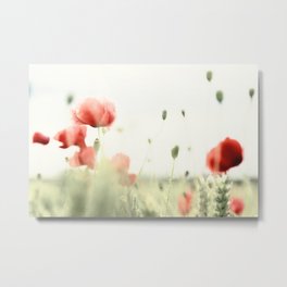 Poppies Metal Print | Mohn, Blume, Mohnblumen, Poppies, Poppy, Mohnblume, Foto, Color, Long Exposure, Flower 