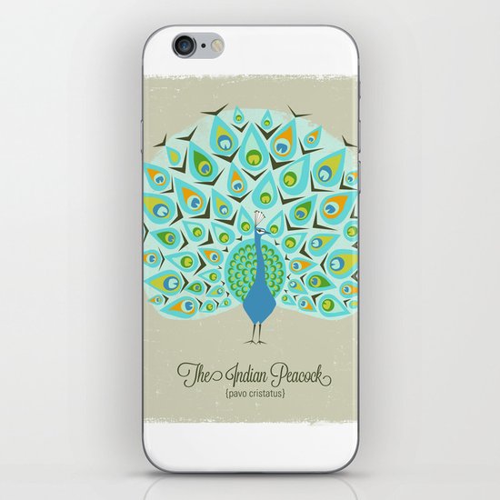 The Indian Peacock iPhone & iPod Skin