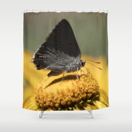 Little Wings of Summer Shower Curtain