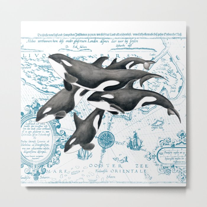 Orca Whales Family Blue Vintage Map Metal Print