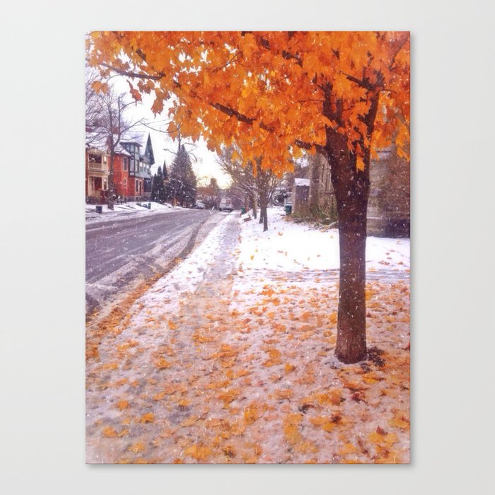 Fall into Winter Canvas Print