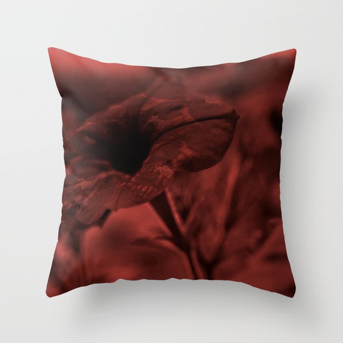 We Found Her Mother Earth Throw Pillow