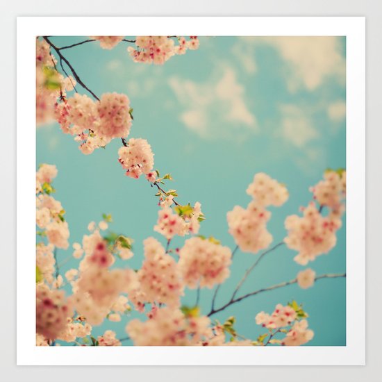 Splash of Pink Art Print
