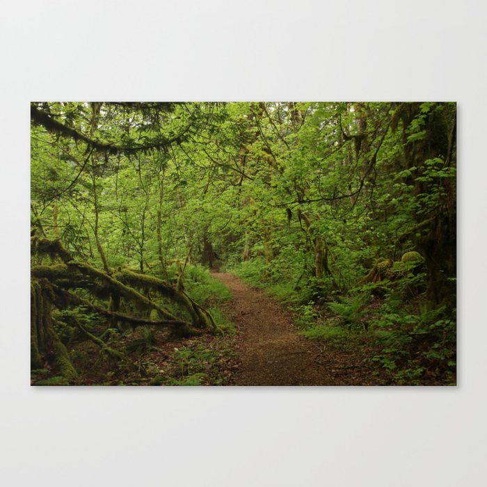 The Road to Faerie Canvas Print