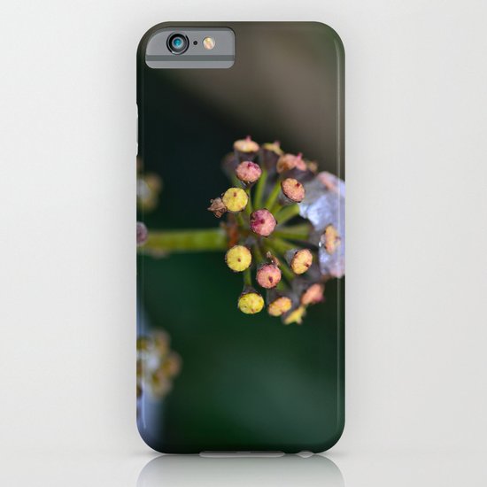 Wild Ivy iPhone & iPod Case