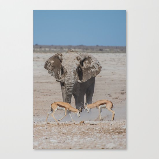Elephant Safari Canvas Print