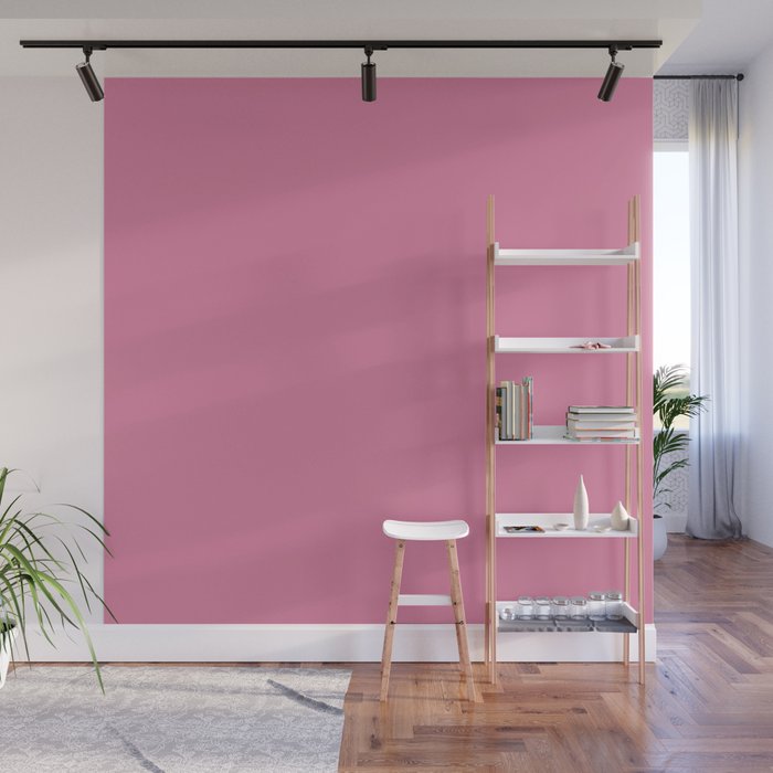 Pink Cosmos solid color. Pastel coral blush color minimalist plain  pattern  Wall Mural