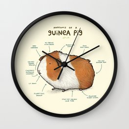 Anatomy of a Guinea Pig Wall Clock | Scientific, Digital, Kawaii, Anatomy, Curated, Pigs, Geek, Science, Children, Cute 