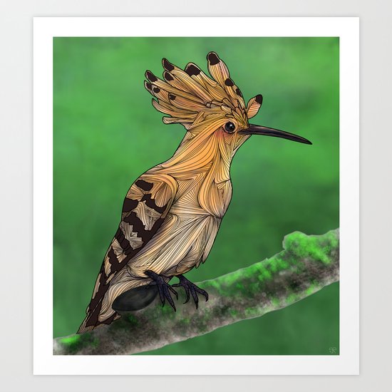 Upupa Art Print