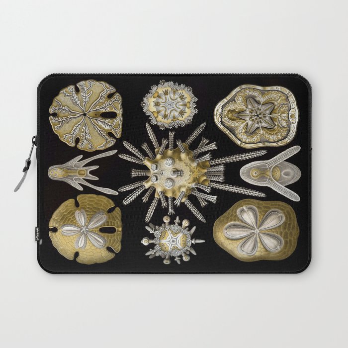 Ernst Haeckel Echinidea Sea Urchin Laptop Sleeve