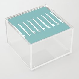 Board Storage Acrylic Box