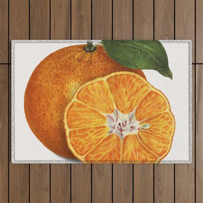 Delicious Orange Tangerine Illustration Outdoor Rug