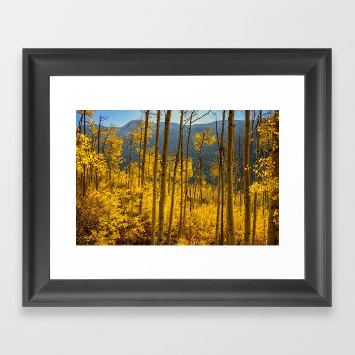 Aspen Autumn Forest 7450 - Aspen, Colorado Framed Art Print
