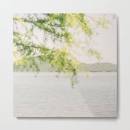 Bright Soft Tones Landscape Photography | Green Leaves of Tree by Summer Lake Photo | Tranquil Nature Metal Print