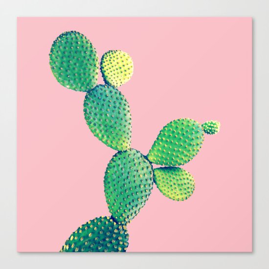 Cactus Canvas Print
