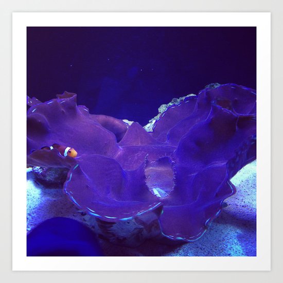 Clownish Clownfish Art Print