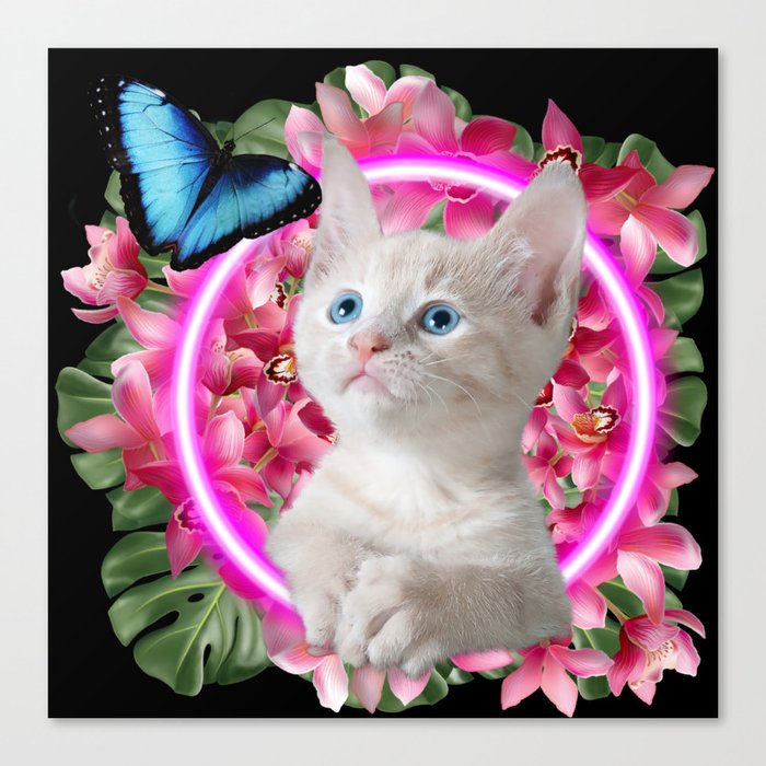 Cute Kitten with blue butterfly on neon tropical background Canvas Print