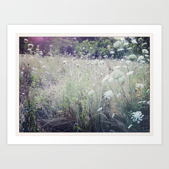 St. James Park Art Print