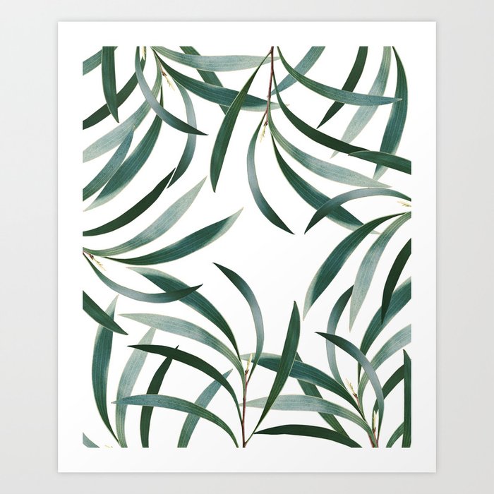 Eucalyptus Branch Delight Pattern #1 #foliage #decor #art #society6 Art Print