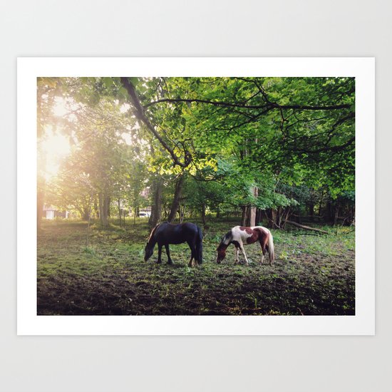 Horses Art Print