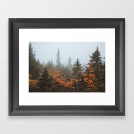 White Mountains National Forest Fall Fog Framed Art Print