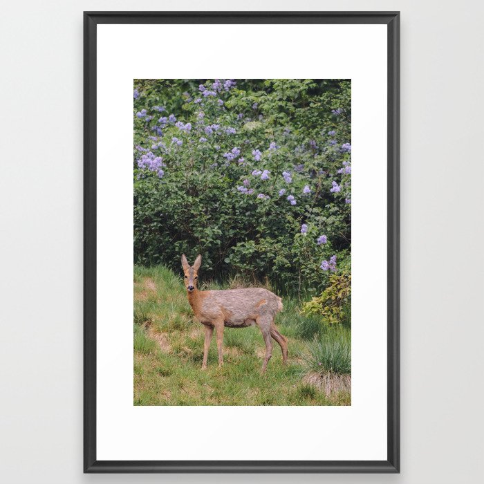 deer & lilacs Framed Art Print