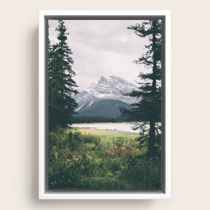 Framed Canvas